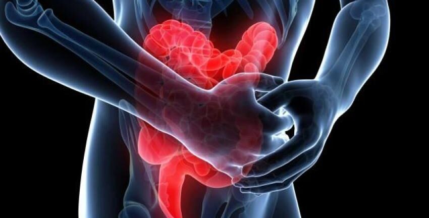 Why Regular Follow Up Is Important for IBD Patients The Key to Long Term Health